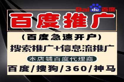 案例解析：竞价推广代运营助力企业实现精准营销